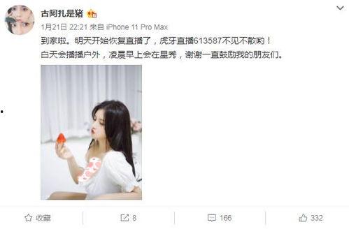 圈子名媛爆料事件视频大全,揭秘视频大全背后的惊人真相